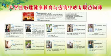 大學(xué)生心理健康教育與咨詢中心專職咨詢師的教育咨詢服務(wù)